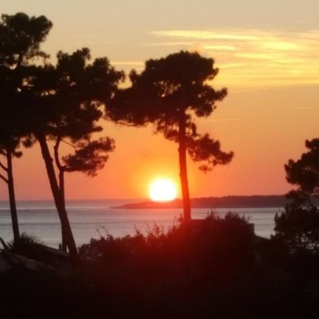Chambre d’hôtes Pyla sur Mer La Teste-de-Buch Extérieur photo