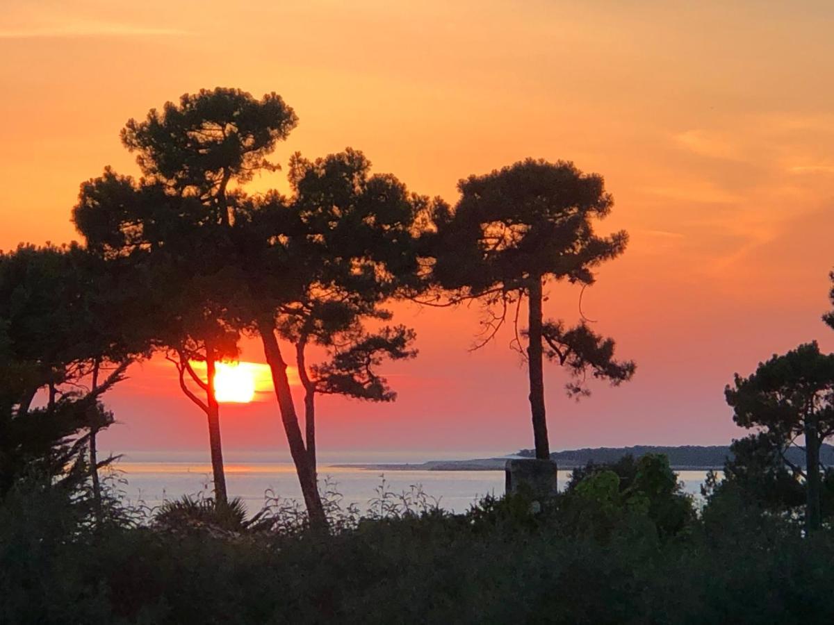 Chambre d’hôtes Pyla sur Mer La Teste-de-Buch Extérieur photo