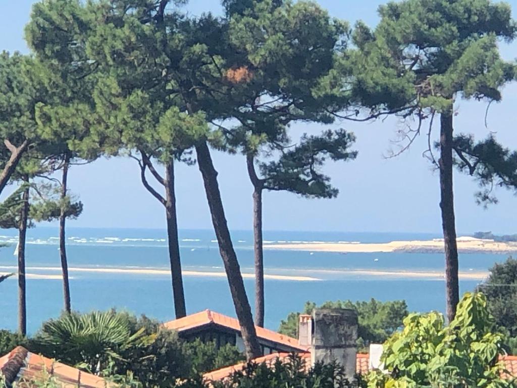 Chambre d’hôtes Pyla sur Mer La Teste-de-Buch Extérieur photo