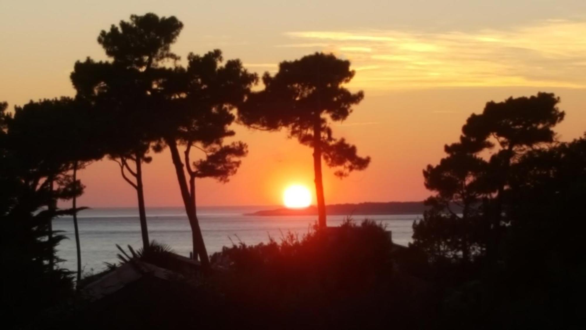 Chambre d’hôtes Pyla sur Mer La Teste-de-Buch Extérieur photo